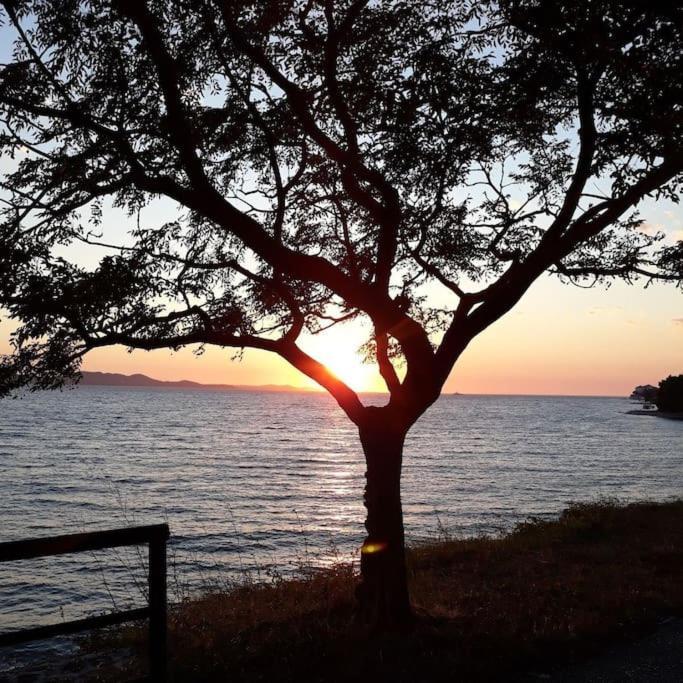 Apartman Milo - Zadar Exteriér fotografie