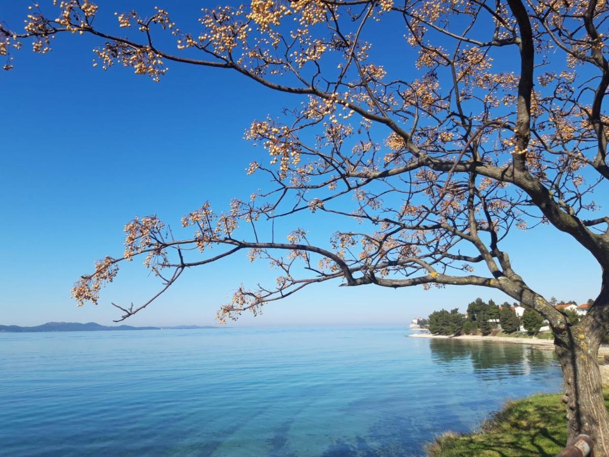 Apartman Milo - Zadar Exteriér fotografie